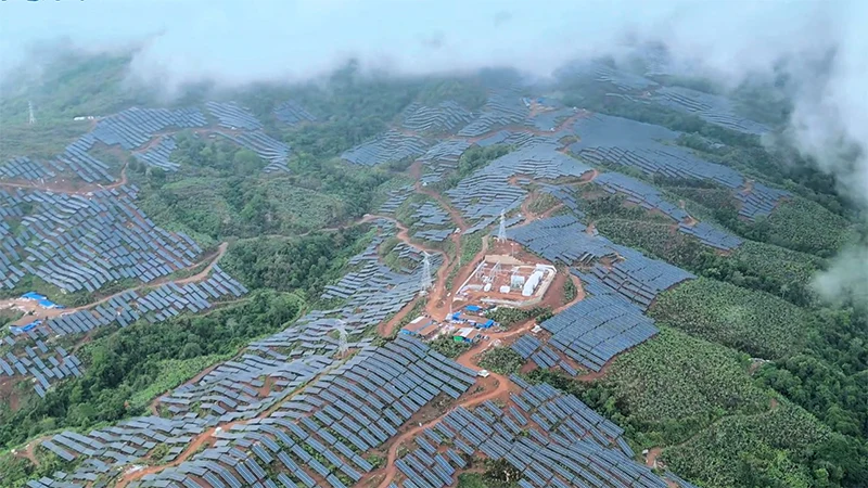 品牌案例丨雨林+绿电！新恒源支架织就生态能源新图景