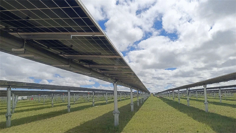 品牌案例丨雨林+绿电！新恒源支架织就生态能源新图景