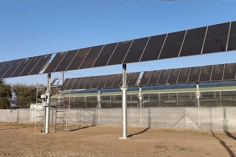 光农共生・零碳致远｜新恒源能源打造MEA地区智慧农业样板